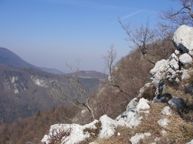 mokrc12.jpg