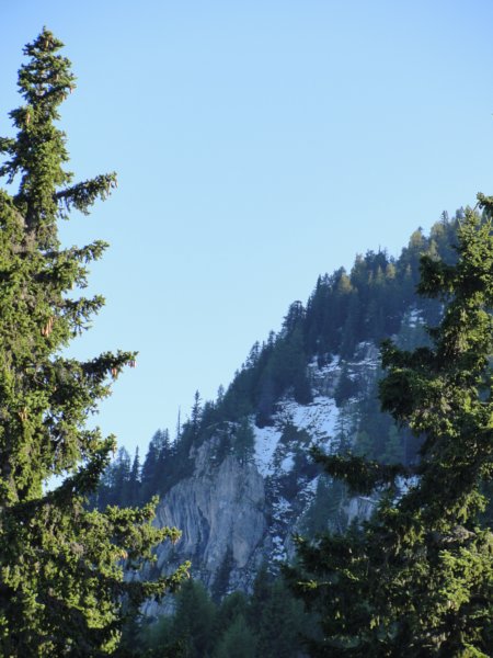 peca10.jpg