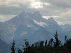 peca100_small.jpg