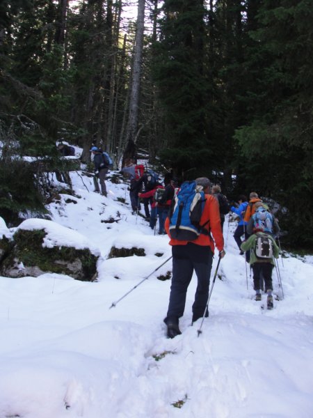 peca18.jpg