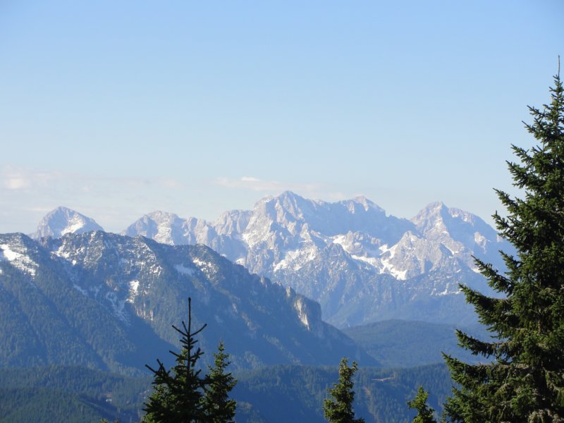 peca19.jpg