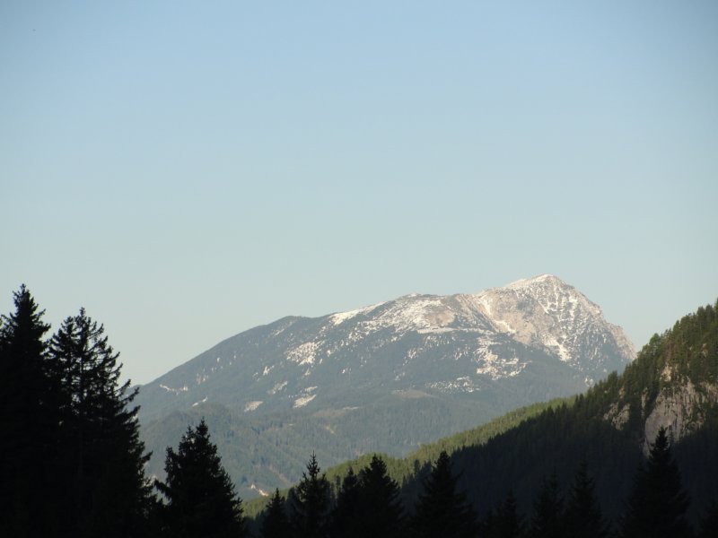 peca2.jpg