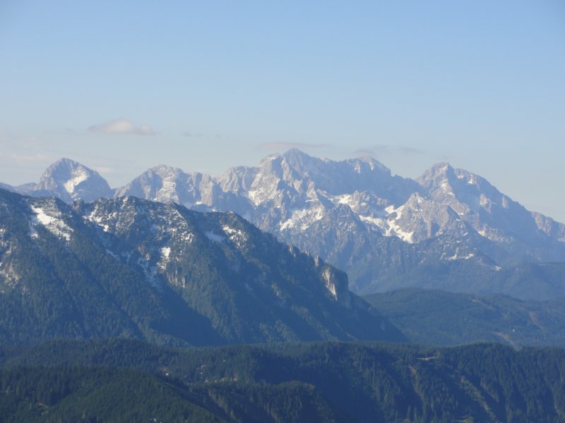 peca22.jpg