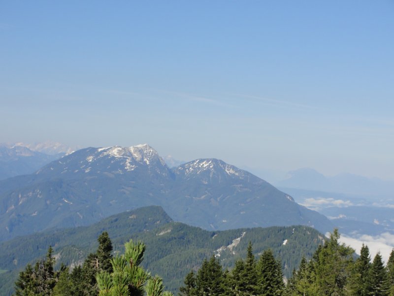 peca23.jpg