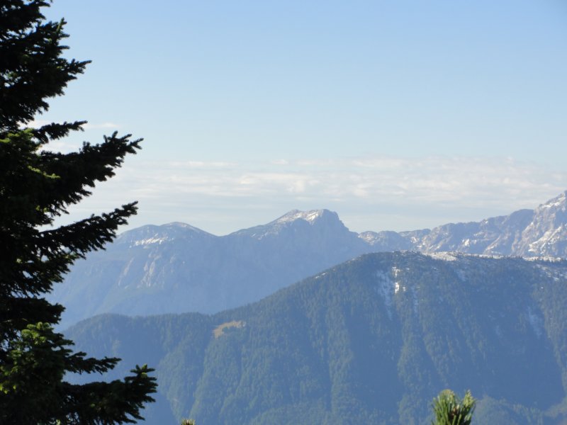 peca25.jpg