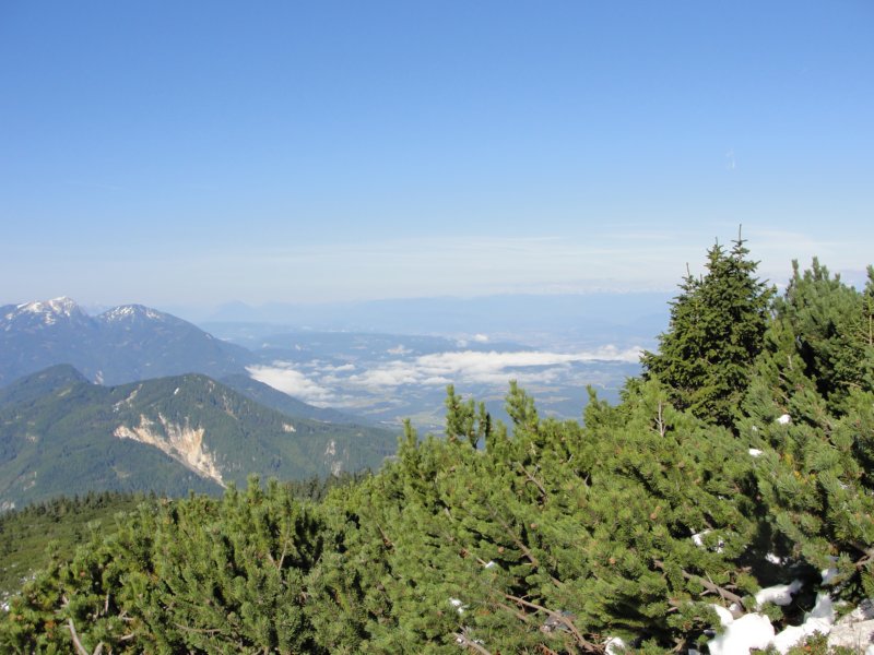 peca29.jpg