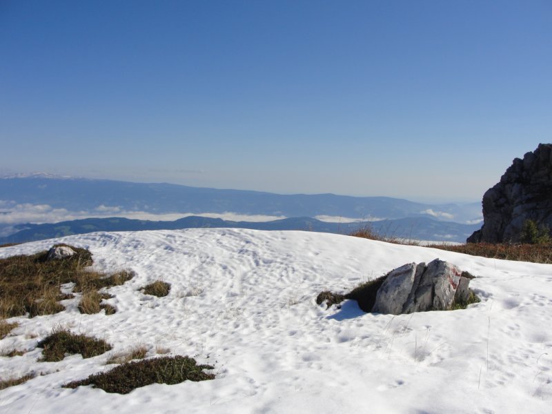 peca32.jpg