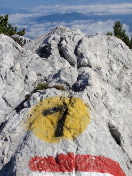 peca38.jpg