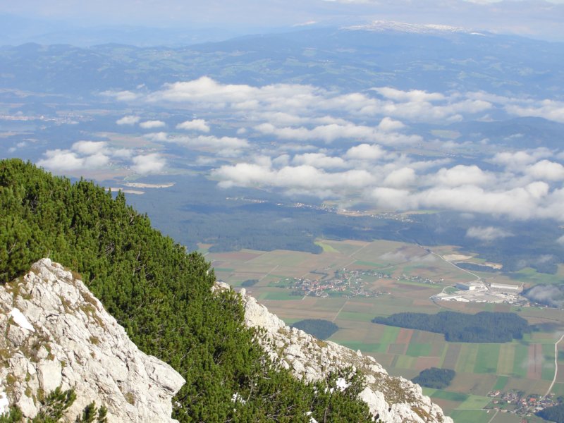 peca41.jpg