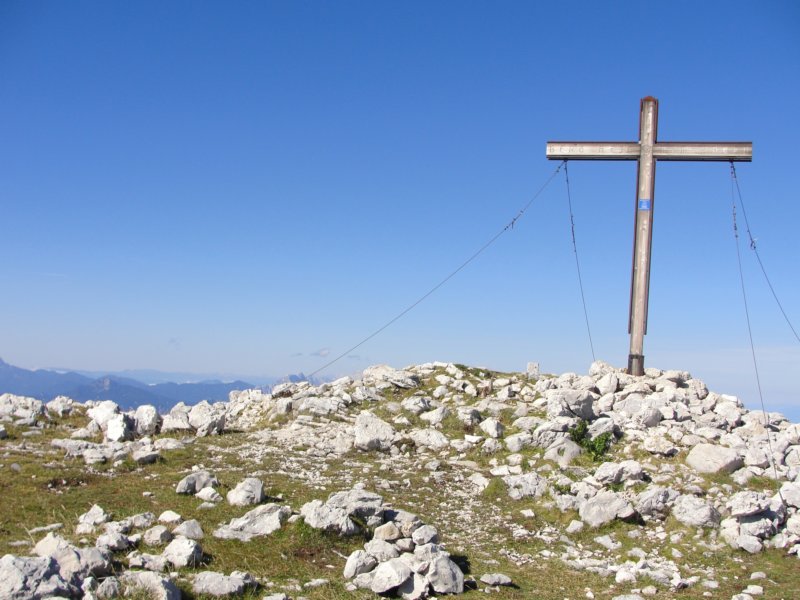 peca46.jpg