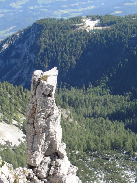 peca52.jpg