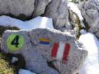 peca53_small.jpg