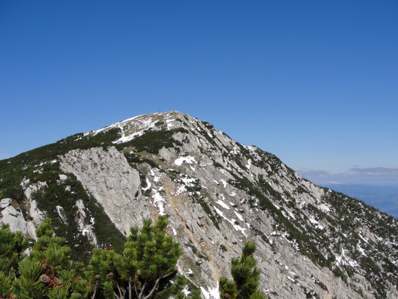 peca54.jpg