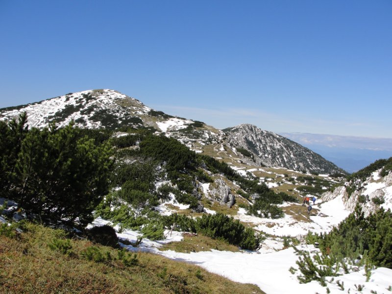 peca62.jpg