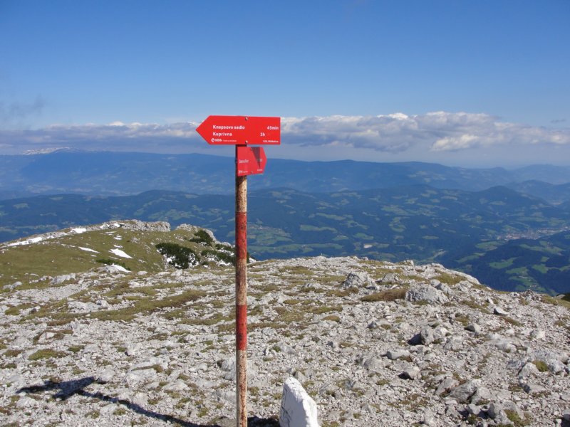 peca65.jpg