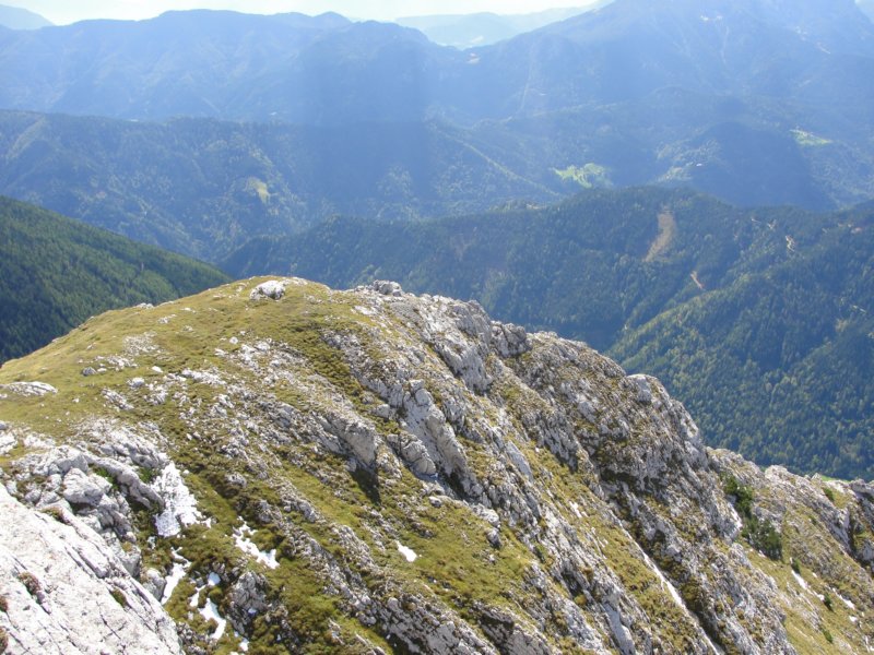 peca69.jpg