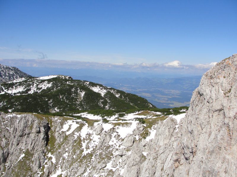 peca70.jpg