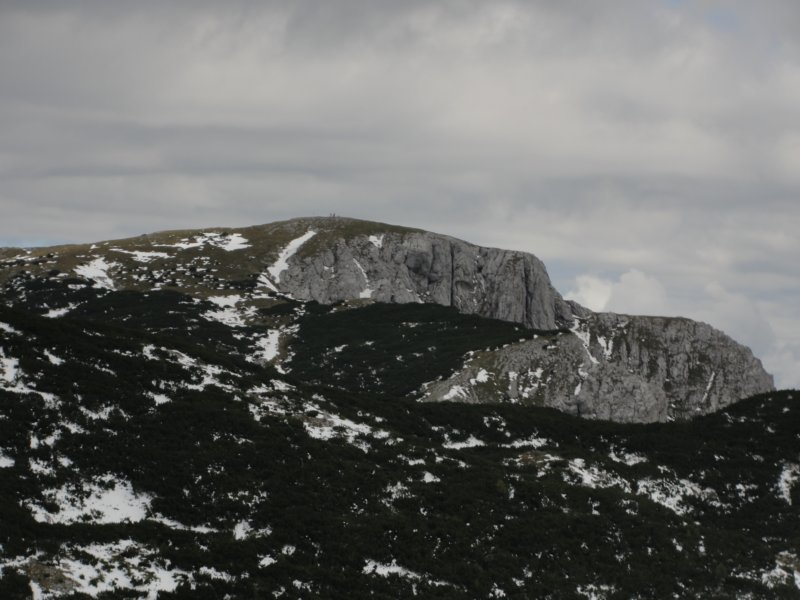 peca76.jpg