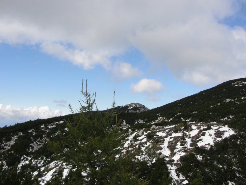peca79.jpg