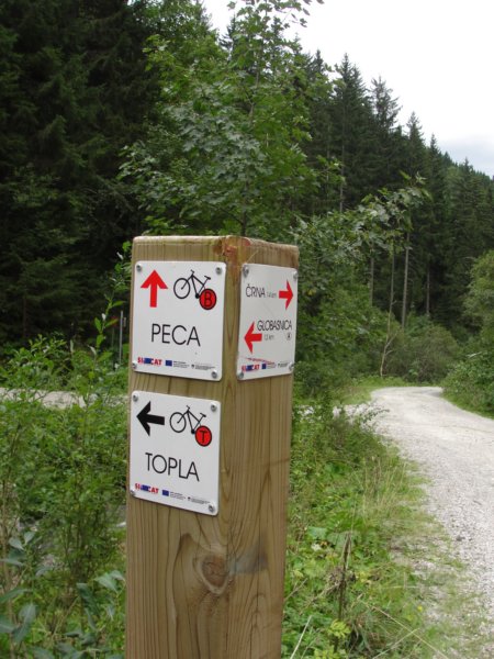 peca83.jpg