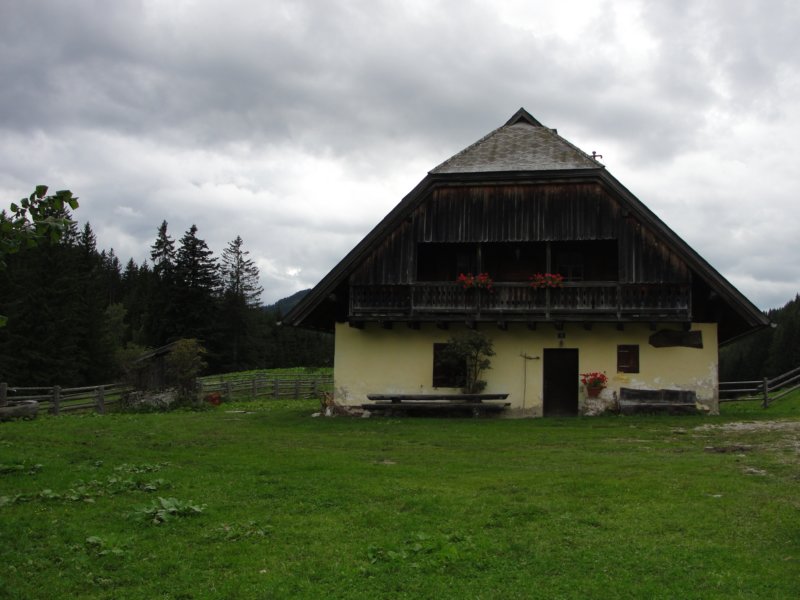 peca94.jpg