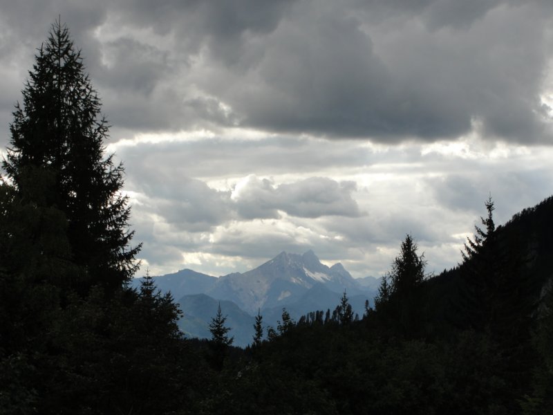 peca99.jpg