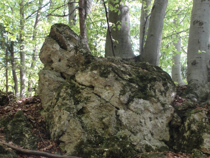 velikokozje48.jpg