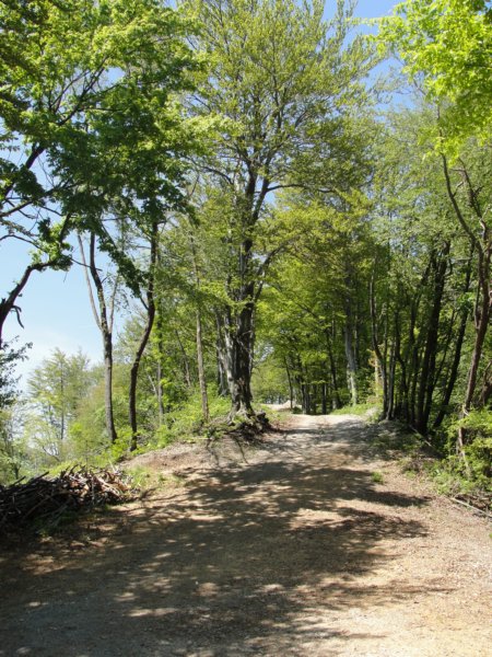 velikokozje51.jpg