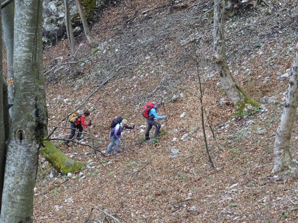 stolpi20196.jpg