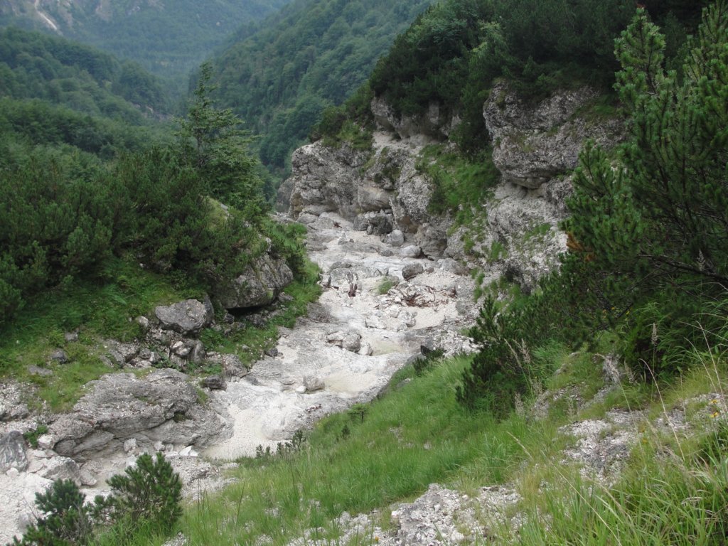 abramovapot42.jpg