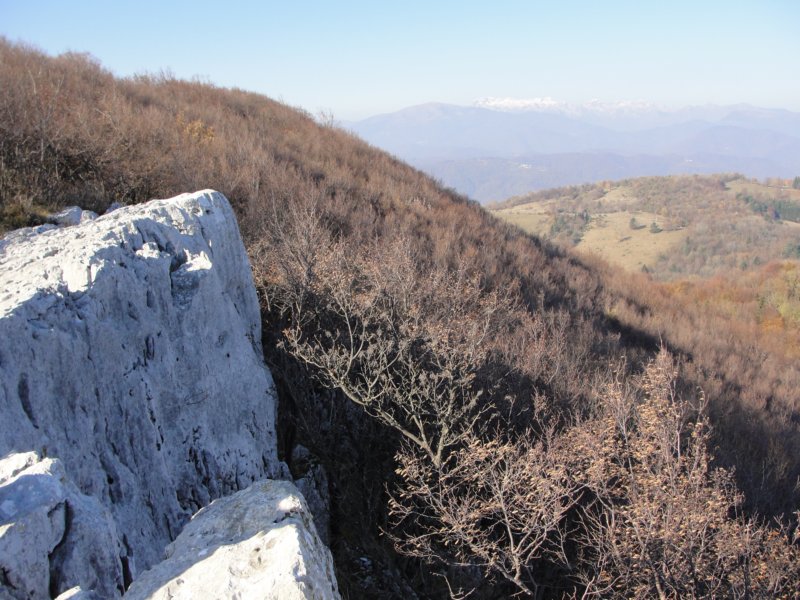 batovkapot41.jpg