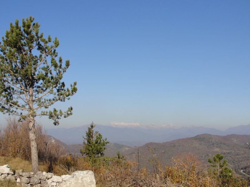 batovkapot5.jpg