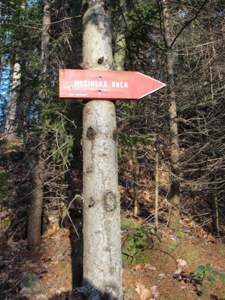 boskovec1.jpg