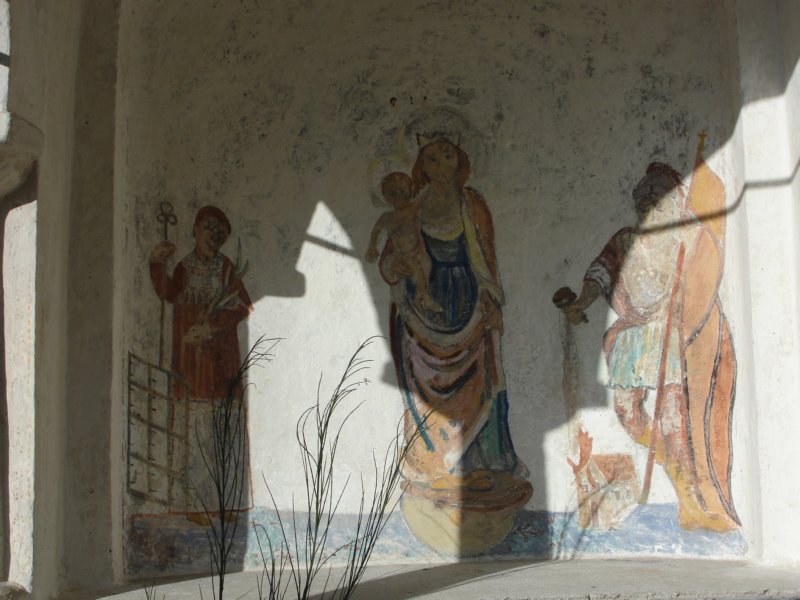 boskovec11.jpg