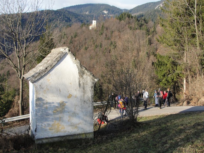 boskovec6.jpg