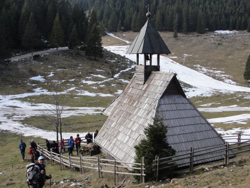 boskovec66.jpg