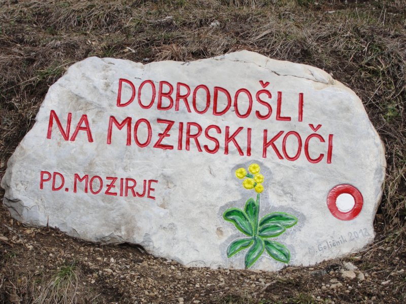 boskovec71.jpg