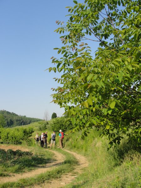 gbrda9.jpg