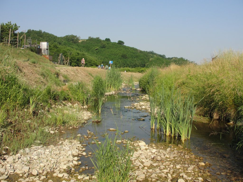 gorikabrda20154.jpg