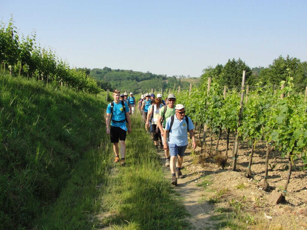 gorikabrda20158.jpg