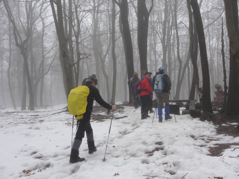 brezovica12.jpg