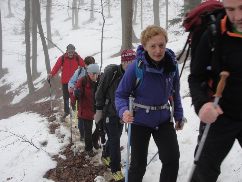 brezovica31.jpg