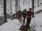 brezovica32_small.jpg