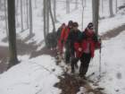 brezovica33_small.jpg