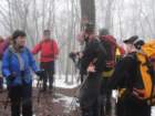 brezovica34_small.jpg