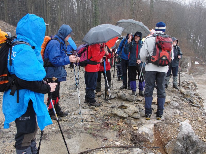 brezovica37.jpg