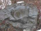 brezovica42_small.jpg