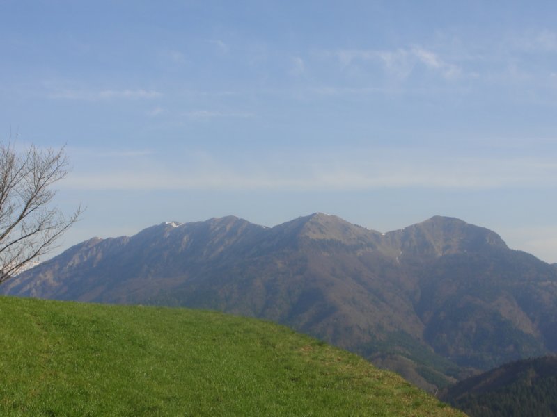 dava11.jpg