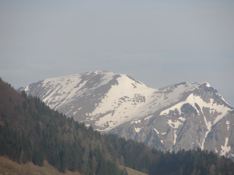 dava6.jpg