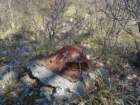 doberdobskikras30_small.jpg
